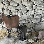 Farmház Le Grotte Di Sileno *