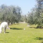 Le Grotte Di Sileno