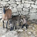 Farmház Le Grotte Di Sileno *