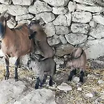 Le Grotte Di Sileno * Castellaneta
