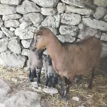 Le Grotte Di Sileno *