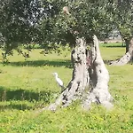 Le Grotte Di Sileno Farmház *