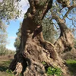 Le Grotte Di Sileno