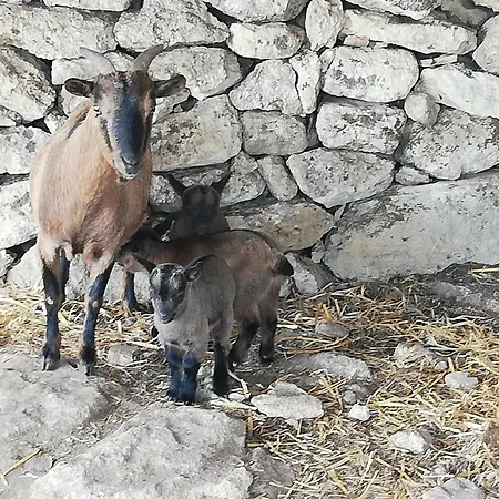 Le Grotte Di Sileno * Castellaneta