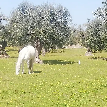 Le Grotte Di Sileno Agroturismo *