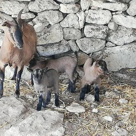 Agroturismo Le Grotte Di Sileno