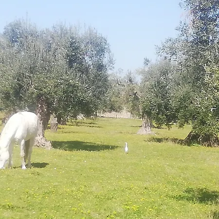 Le Grotte Di Sileno