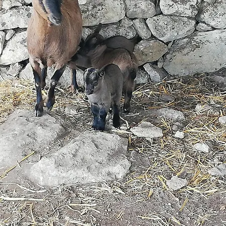Le Grotte Di Sileno *