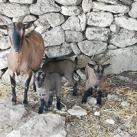Agroturismo Le Grotte Di Sileno *