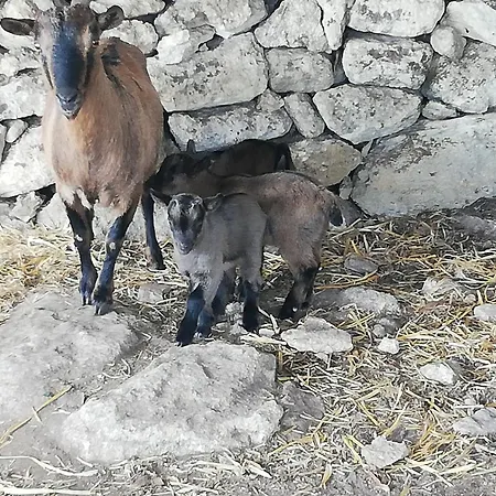 Agroturismo Le Grotte Di Sileno