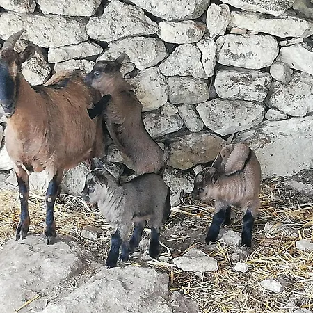 Le Grotte Di Sileno * Castellaneta