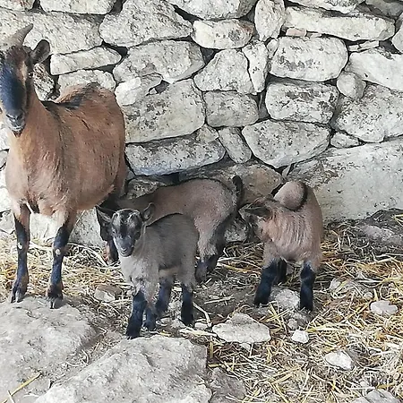 Le Grotte Di Sileno Agroturismo