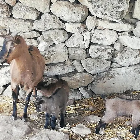 Le Grotte Di Sileno Agroturismo *
