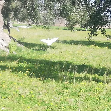 Agroturismo Le Grotte Di Sileno Castellaneta