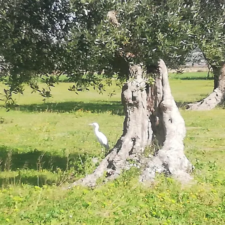 Le Grotte Di Sileno Agroturismo *