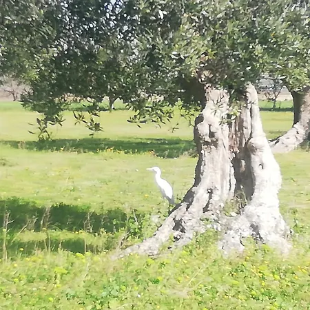 Le Grotte Di Sileno