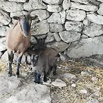 Le Grotte Di Sileno * Castellaneta