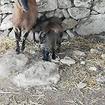 Le Grotte Di Sileno *