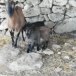 Farm stay Le Grotte Di Sileno