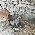 Le Grotte Di Sileno * Castellaneta