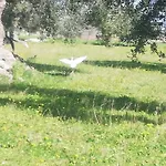 Farm stay Le Grotte Di Sileno Castellaneta