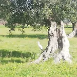 Le Grotte Di Sileno