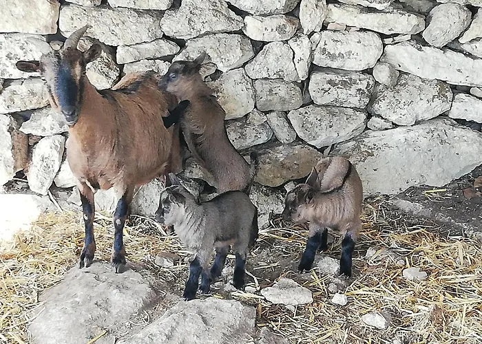 Le Grotte Di Sileno * Castellaneta
